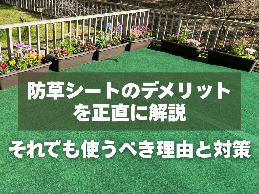 防草シートのデメリットを解説する記事のタイトル写真(家庭の庭の防草シート)