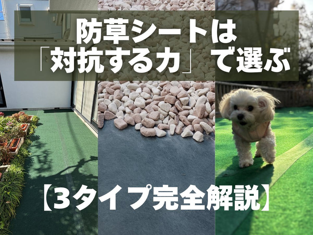 3種類の防草シートが敷かれている庭の写真