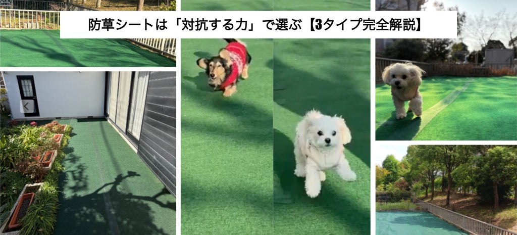 防草シートは「対抗する力」で選ぶ【3タイプ完全解説】