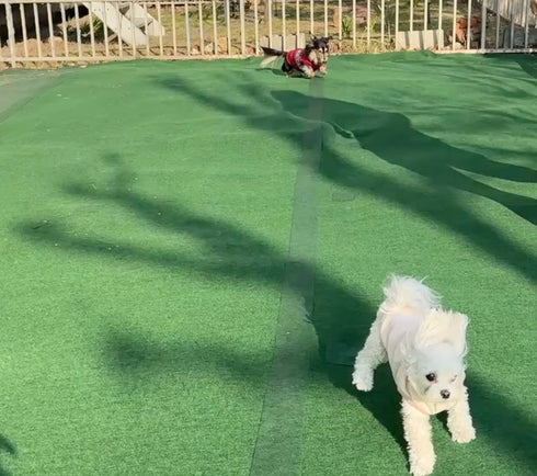 ふんわり15