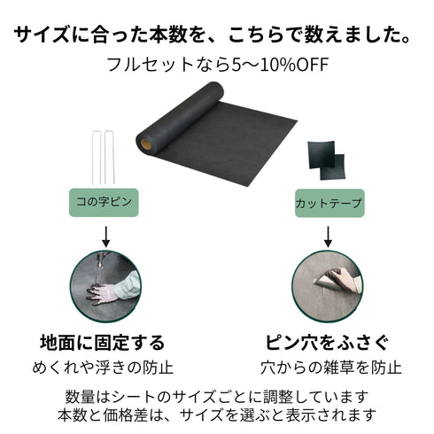 バッチリ5